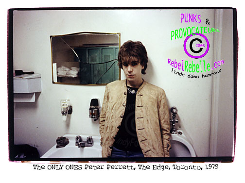 THE ONLY ONES  Peter Perrett