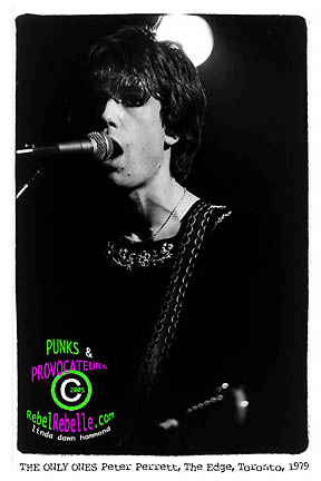 THE ONLY ONES  Peter Perrett